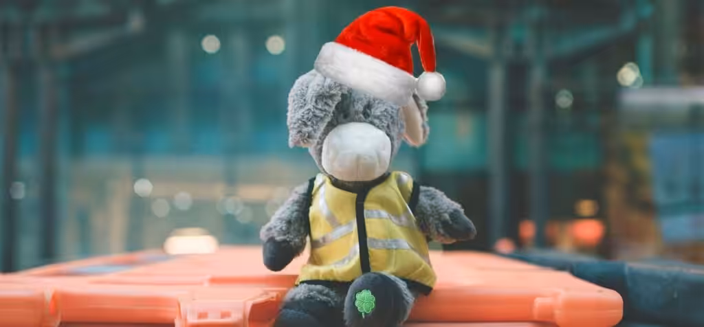 Nts Kevin Donkey Christmas 12 Days