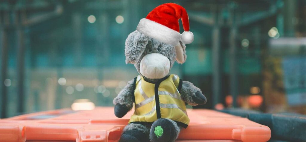 Nts Kevin Donkey Christmas 12 Days